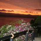 Sonnenuntergang auf Bohol