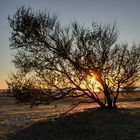 Sonnenuntergang auf Borkum