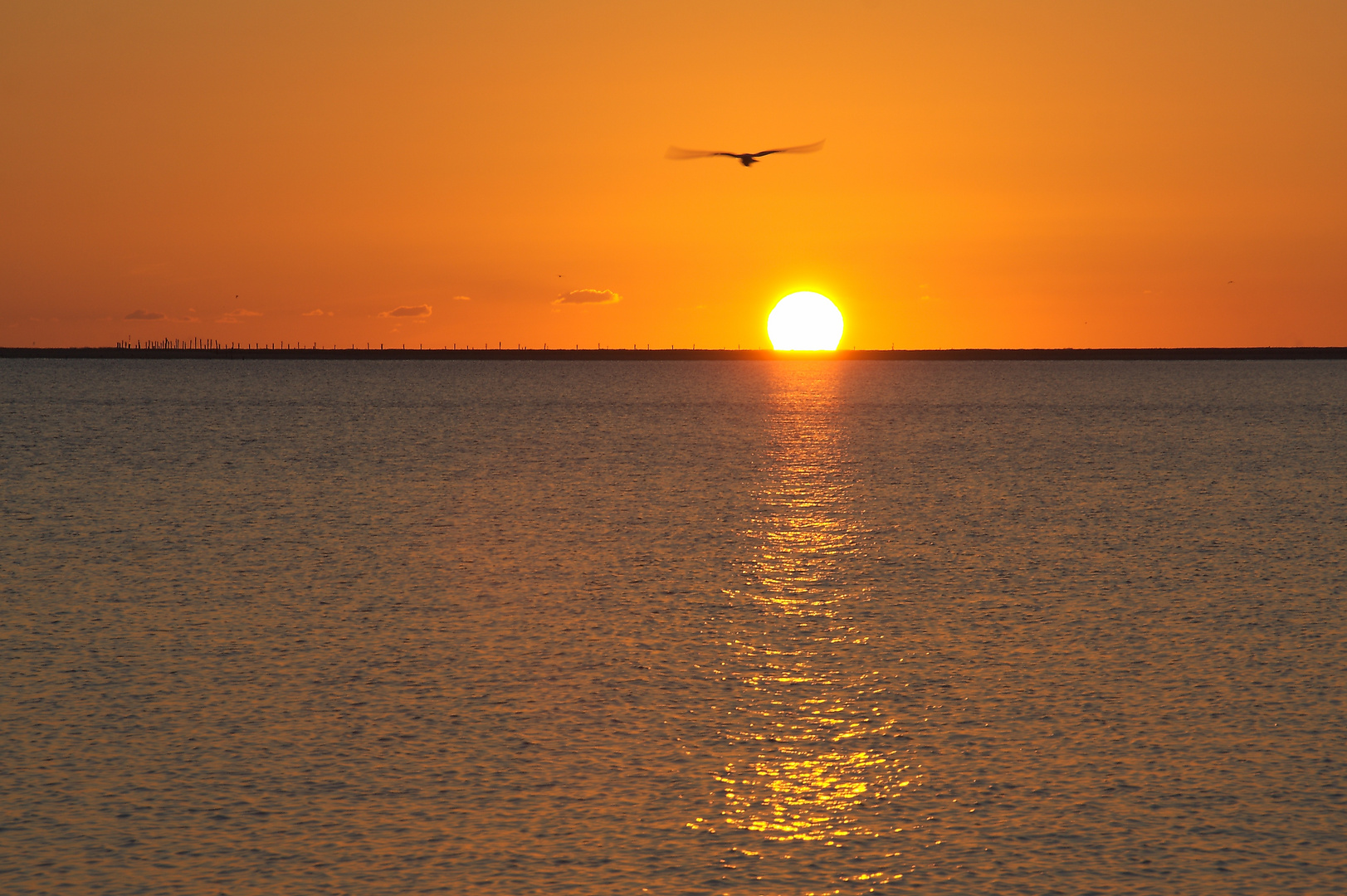 Sonnenuntergang auf Borkum