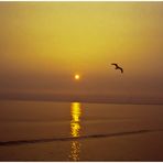 Sonnenuntergang auf Borkum. Augenblicke der Schönheit und der Ruhe