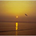 Sonnenuntergang auf Borkum. Augenblicke der Schönheit und der Ruhe