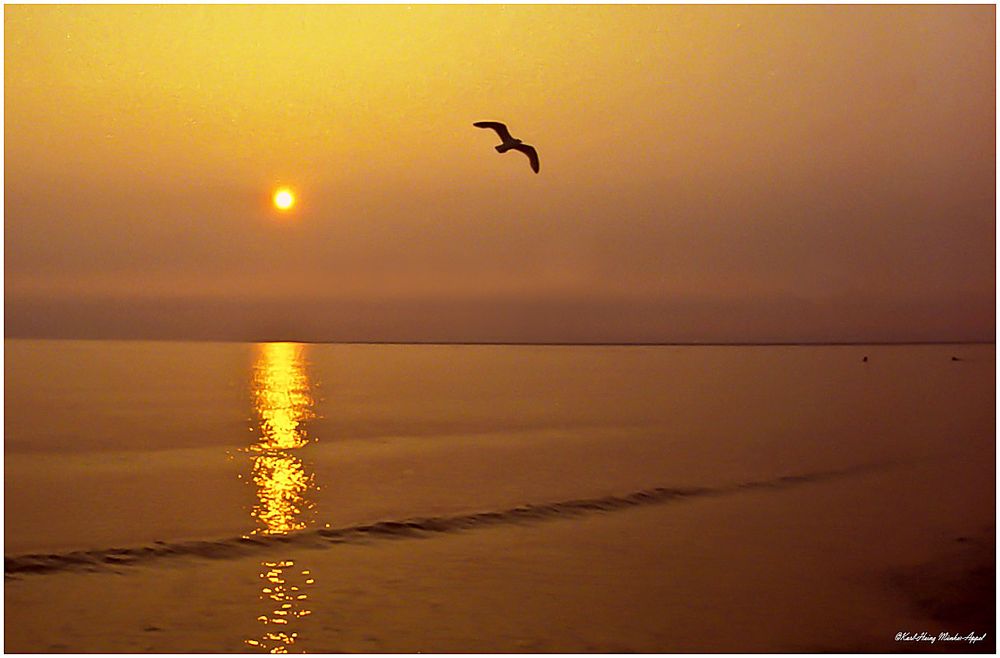Sonnenuntergang auf Borkum. Augenblicke der Schönheit und der Ruhe_2