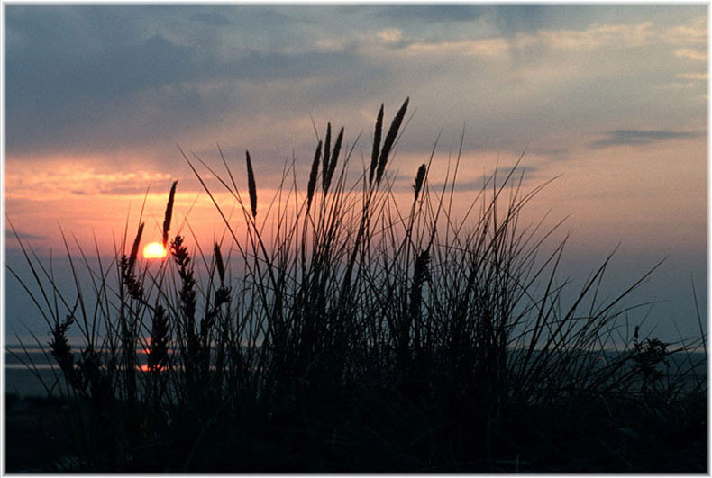 Sonnenuntergang auf Borkum