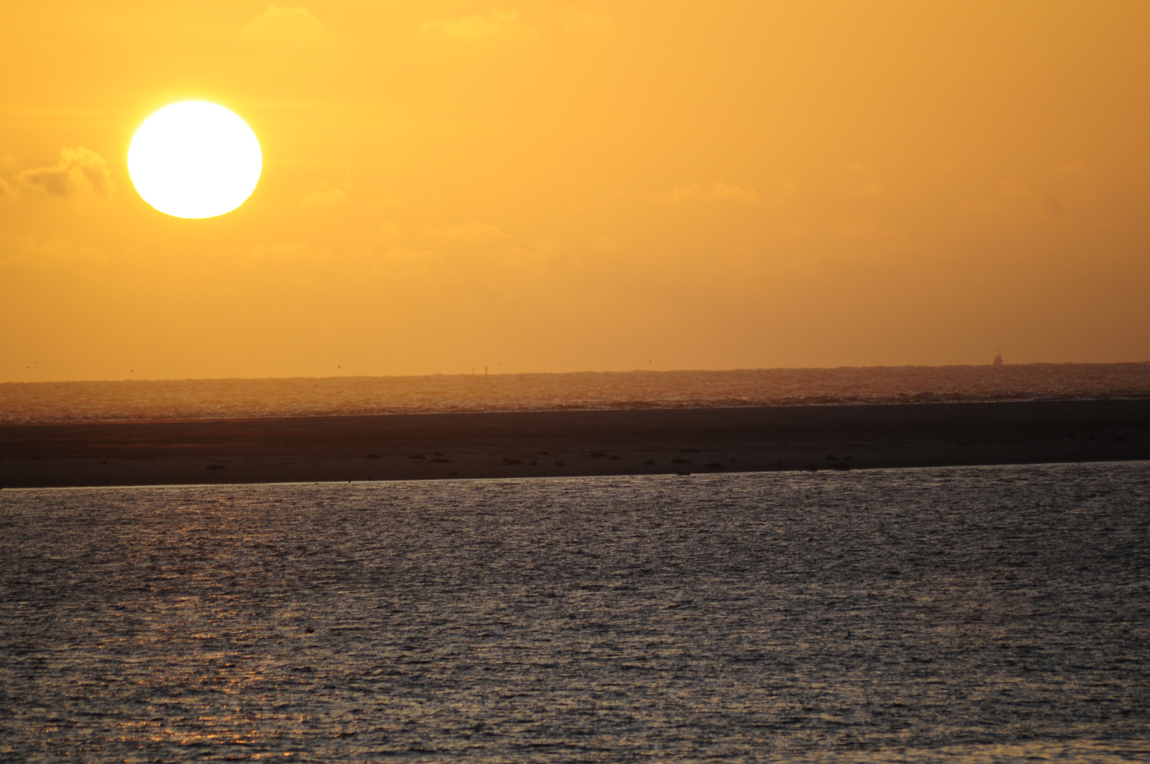Sonnenuntergang auf Borkum, schlafende Seehunde ...