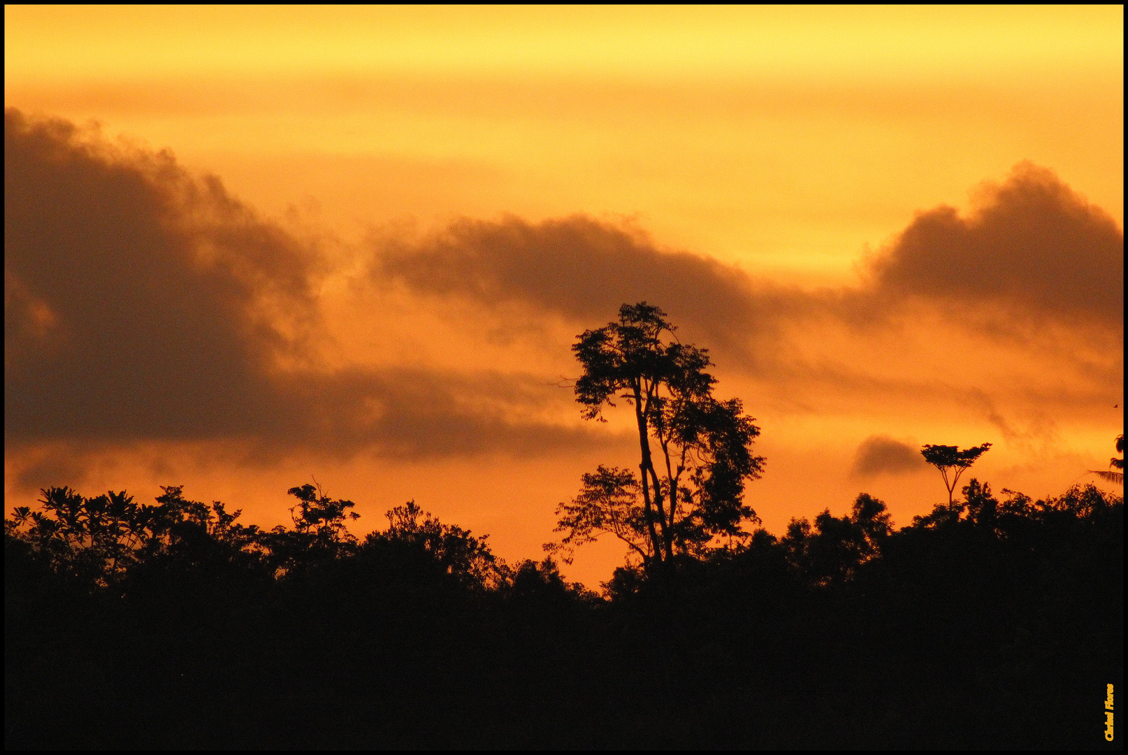 Sonnenuntergang auf Borneo