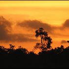 Sonnenuntergang auf Borneo