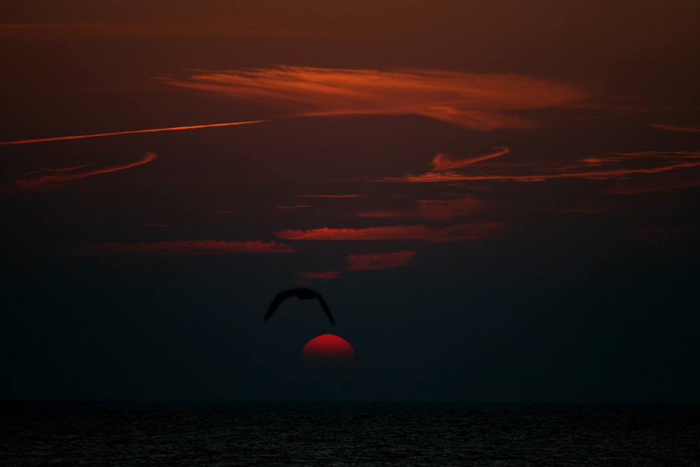 Sonnenuntergang auf Cap Cod