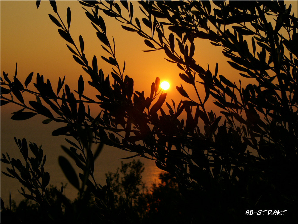 Sonnenuntergang auf Corfu 2