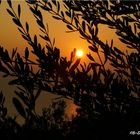 Sonnenuntergang auf Corfu 2