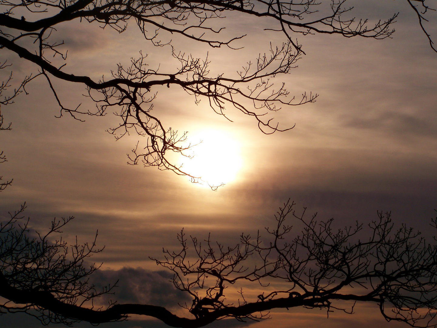 Sonnenuntergang auf dem Berg....