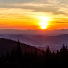 Sonnenuntergang auf dem Brandenkopf (Schwarzwald)