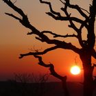 Sonnenuntergang auf dem Breitenstein