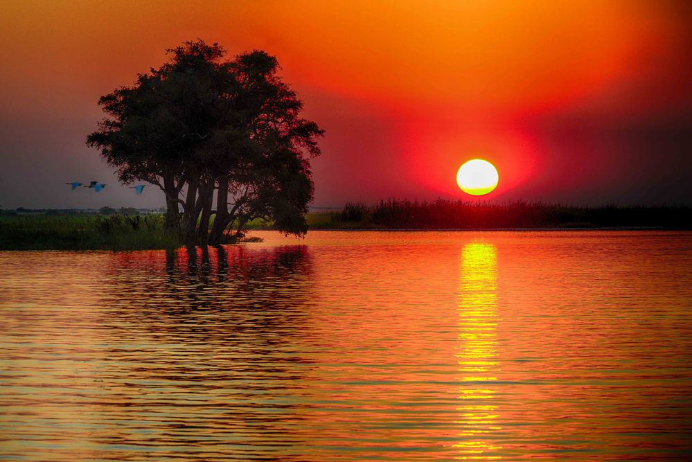 Sonnenuntergang auf dem Chobe 2