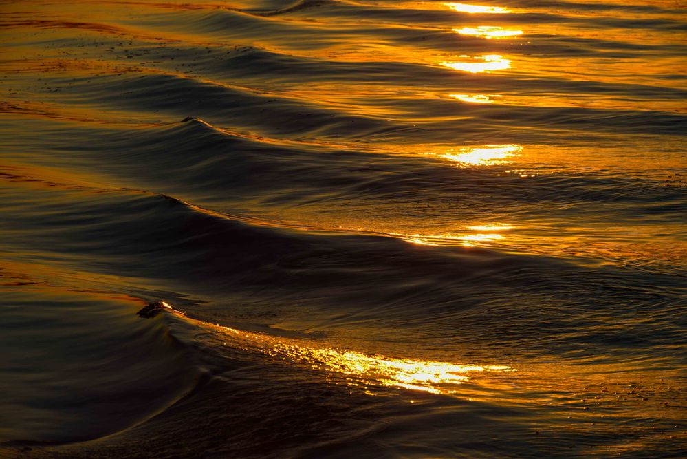 Sonnenuntergang auf dem Chobe