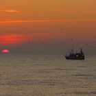 Sonnenuntergang auf dem Dars/Ostsee