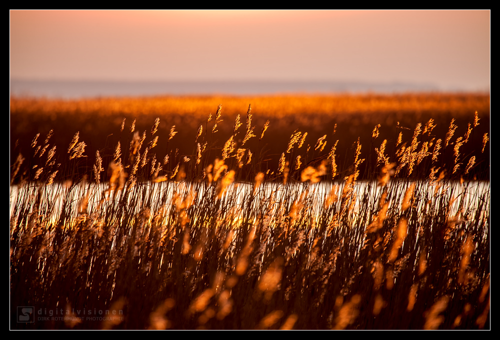 Sonnenuntergang auf dem Darß /3.