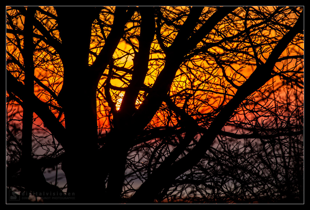 Sonnenuntergang auf dem Darß /4.