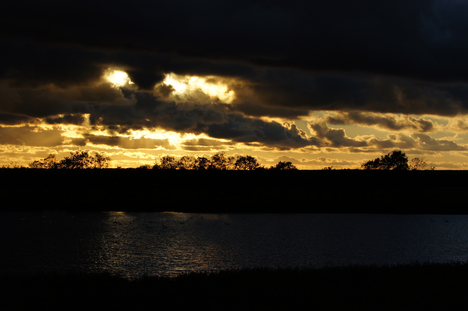 Sonnenuntergang auf dem Darss