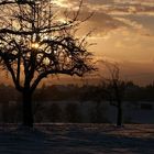 Sonnenuntergang auf dem Dinkelberg