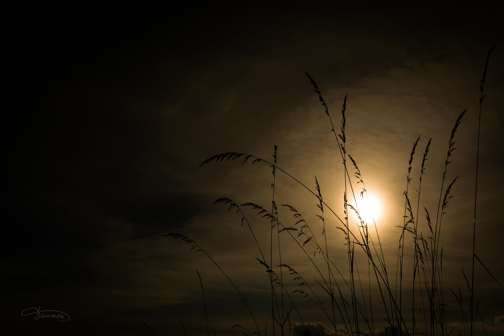 Sonnenuntergang auf dem Dorf