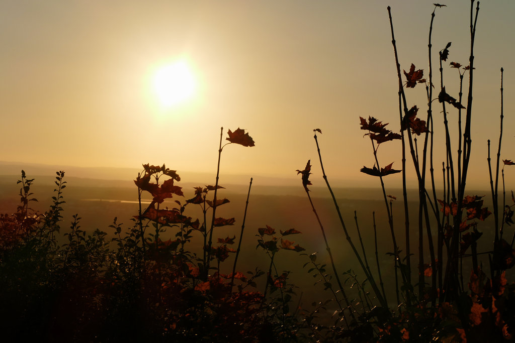 Sonnenuntergang auf dem Drachenfels