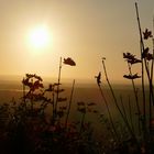 Sonnenuntergang auf dem Drachenfels