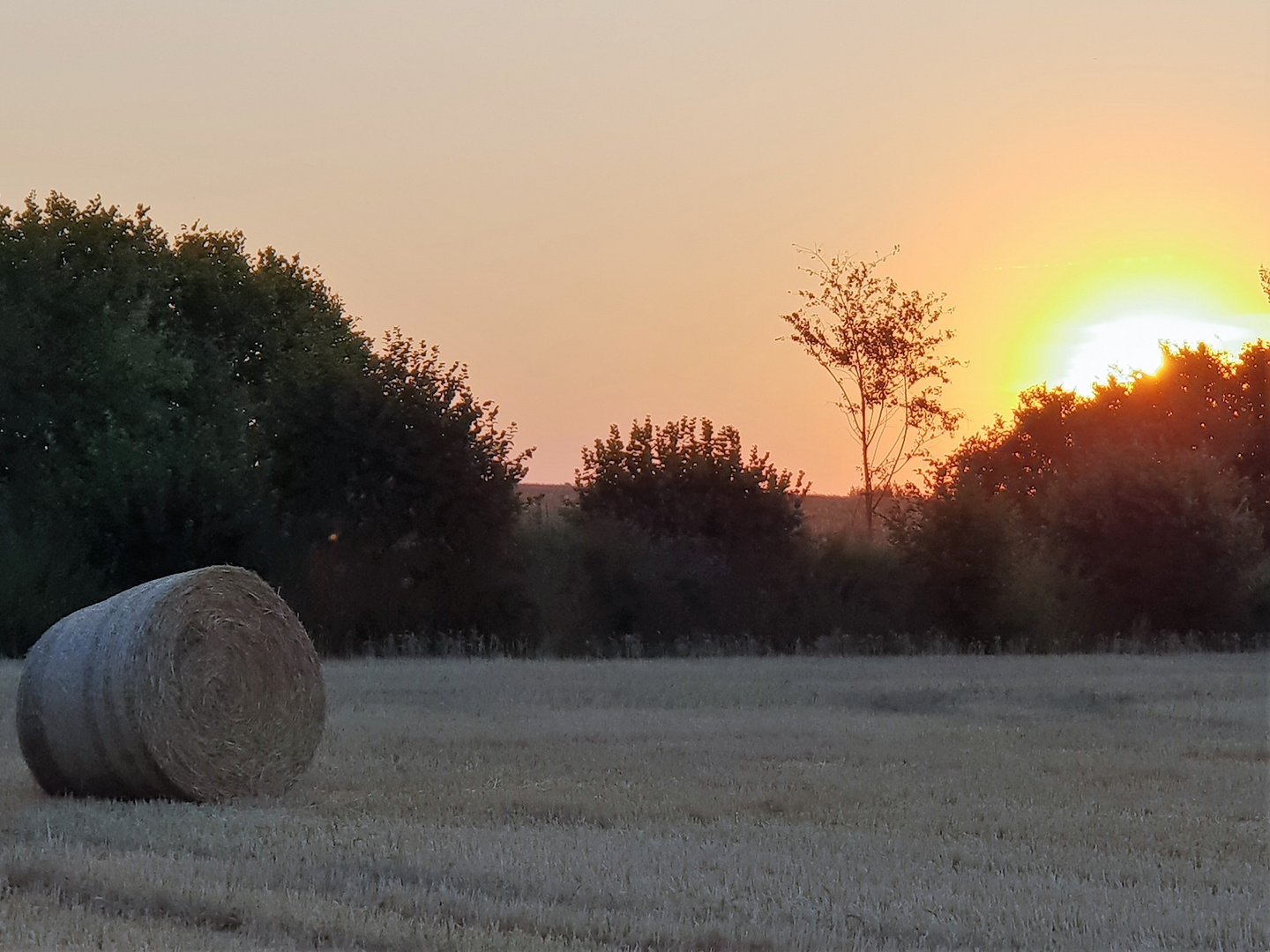 Sonnenuntergang auf dem Feld