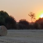 Sonnenuntergang auf dem Feld