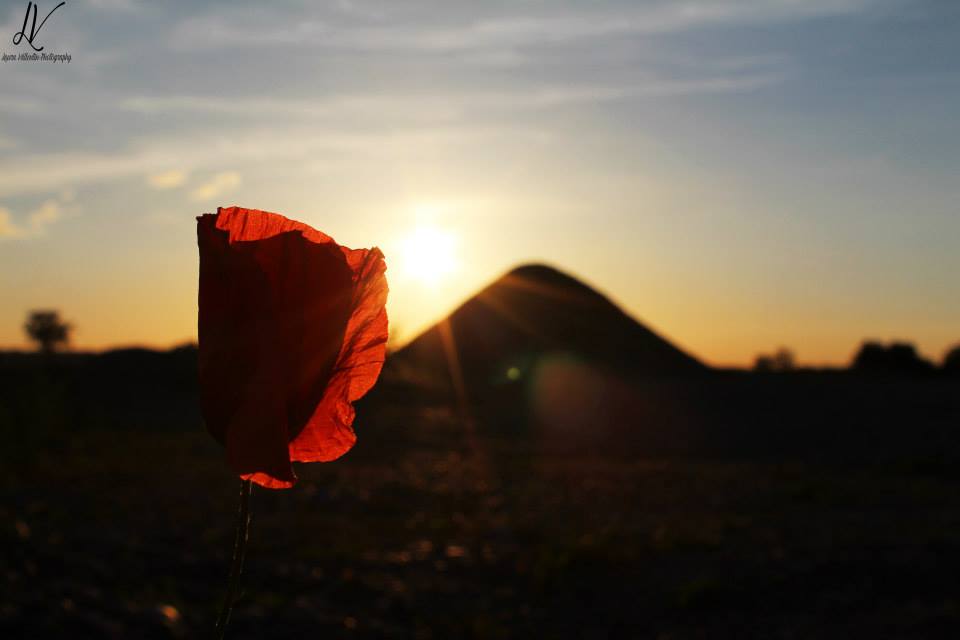 Sonnenuntergang auf dem Feld