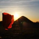 Sonnenuntergang auf dem Feld