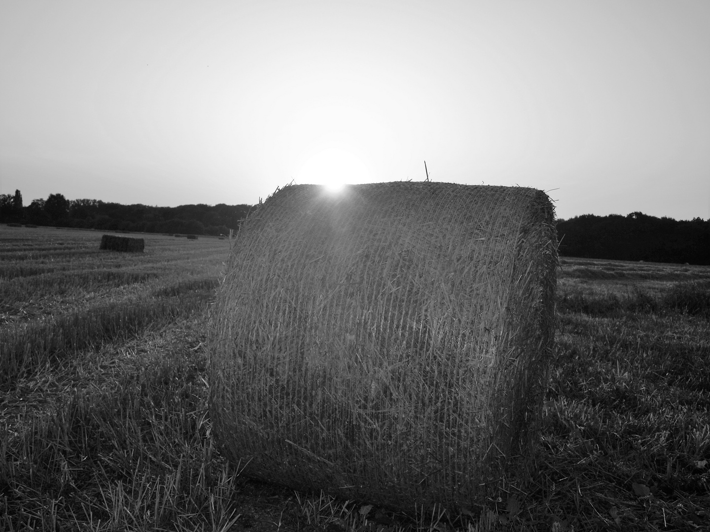 Sonnenuntergang auf dem Feld