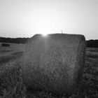 Sonnenuntergang auf dem Feld