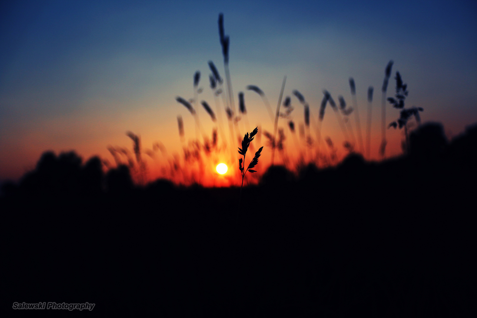 Sonnenuntergang auf dem Feld