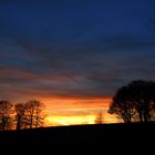 sonnenuntergang auf dem feld