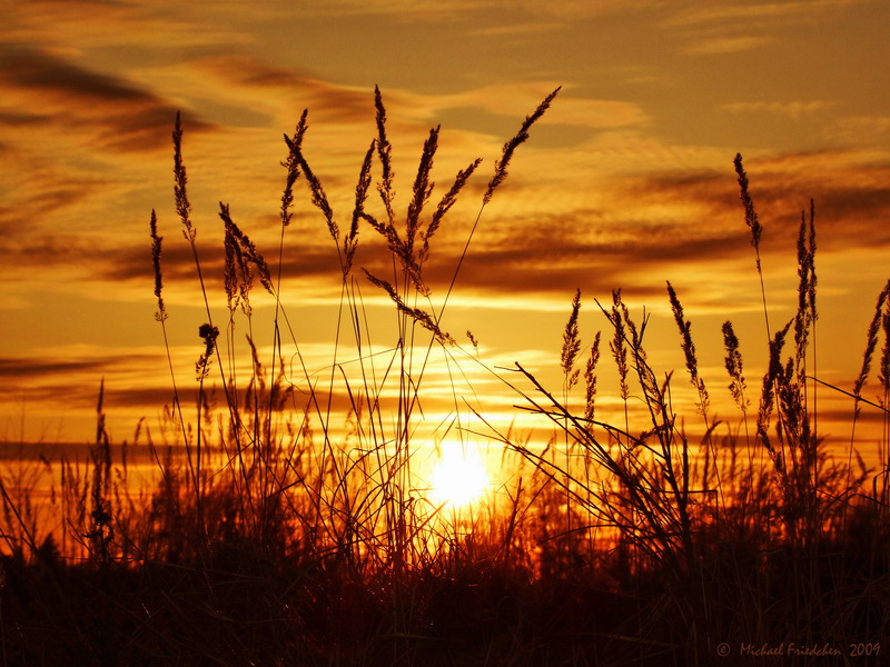 Sonnenuntergang auf dem Feld