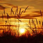 Sonnenuntergang auf dem Feld