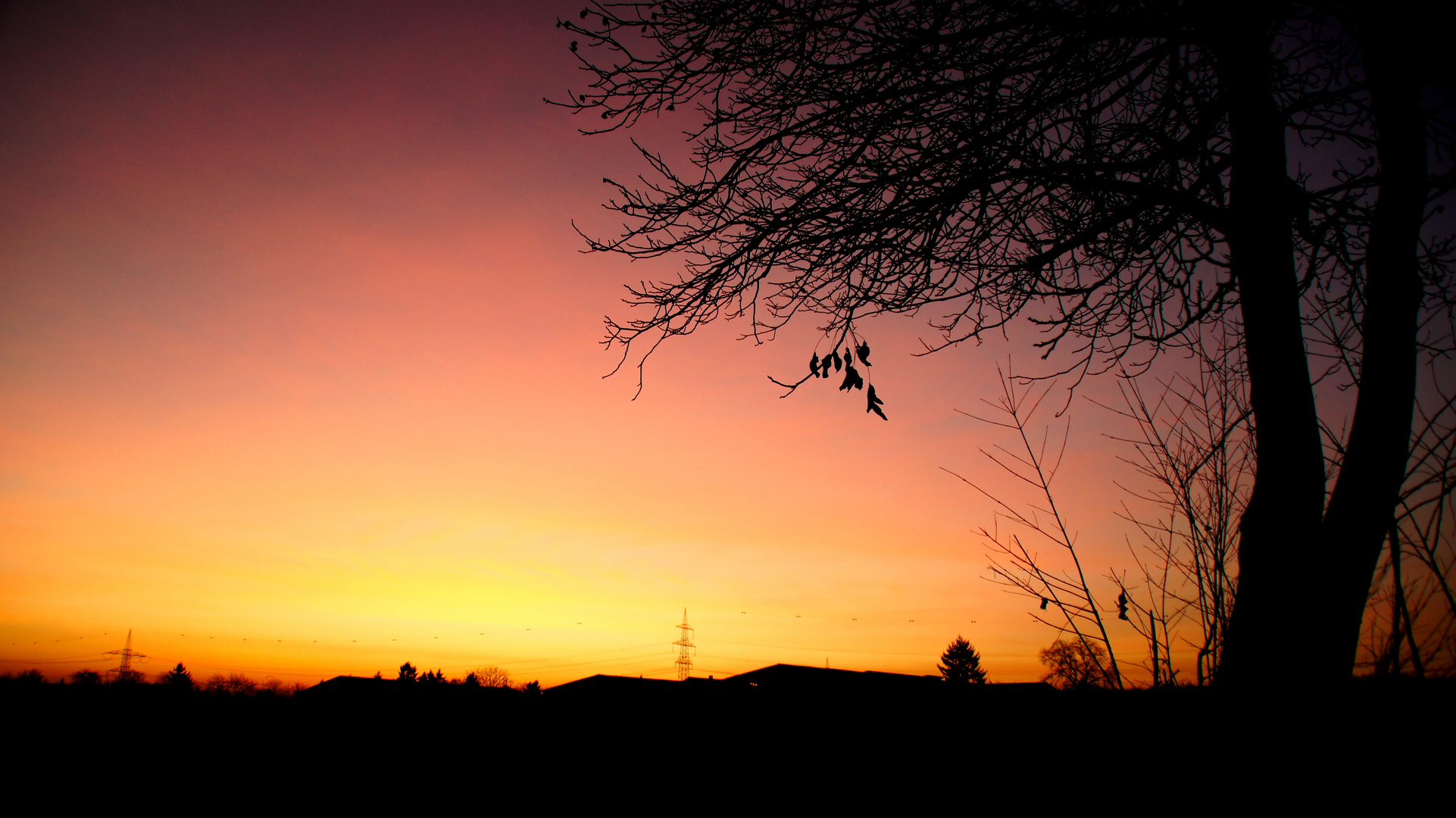 Sonnenuntergang auf dem Feld