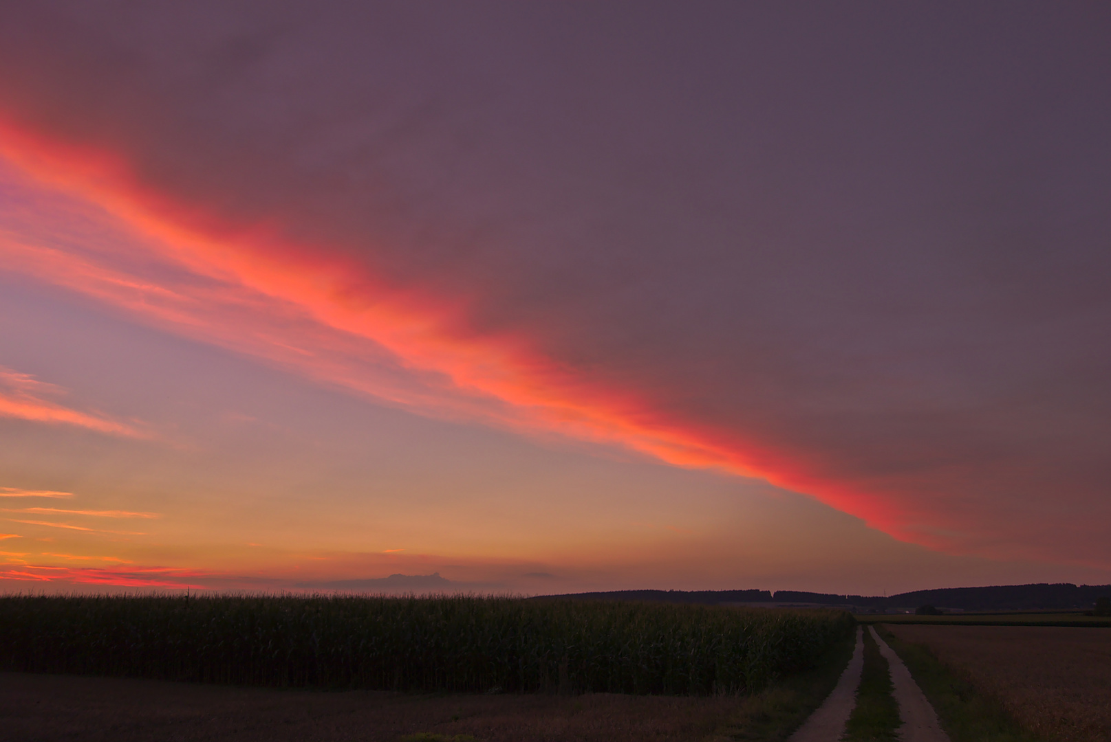 Sonnenuntergang auf dem Feld