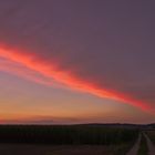 Sonnenuntergang auf dem Feld