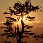 Sonnenuntergang auf dem Feldberg (Taunus)