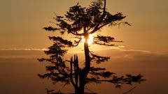 Sonnenuntergang auf dem Feldberg (Taunus)