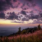 Sonnenuntergang auf dem Hochblauen