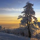 Sonnenuntergang auf dem Hochblauen