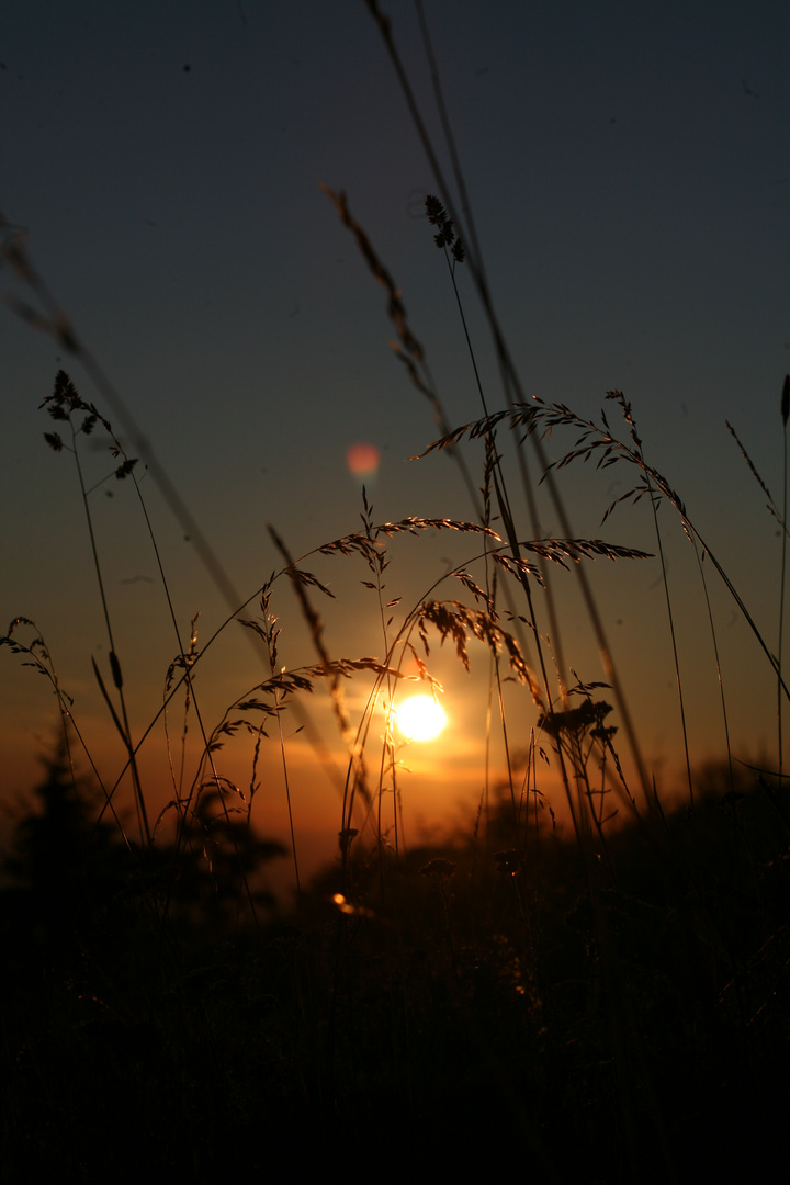 Sonnenuntergang auf dem Hochblauen