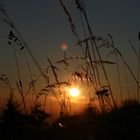 Sonnenuntergang auf dem Hochblauen