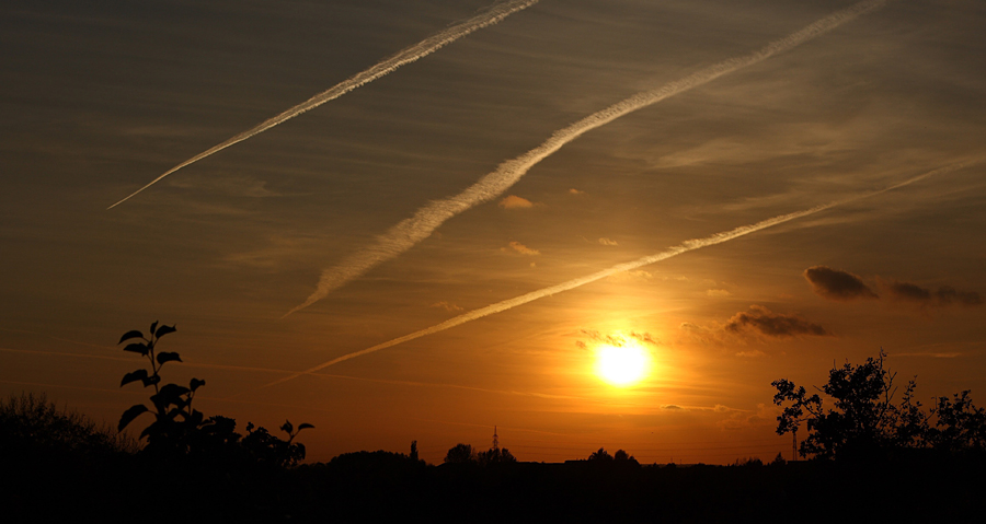 Sonnenuntergang auf dem Kalkberg in Lüneburg