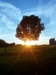 Sonnenuntergang auf dem Land