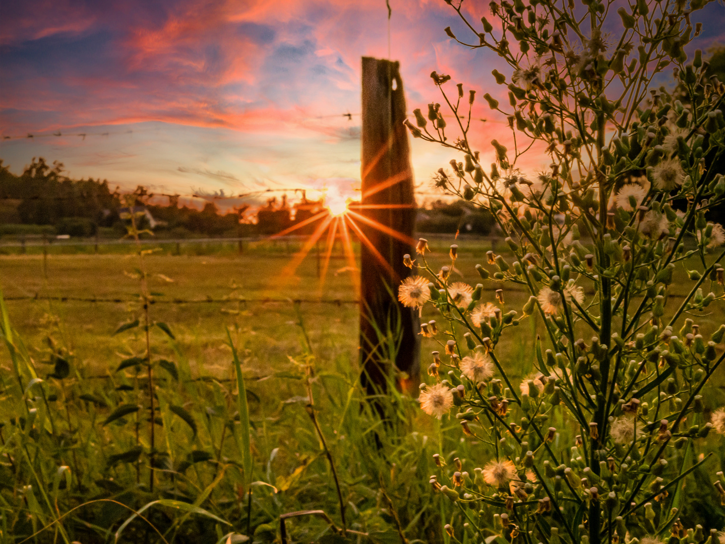 Sonnenuntergang auf dem Lande