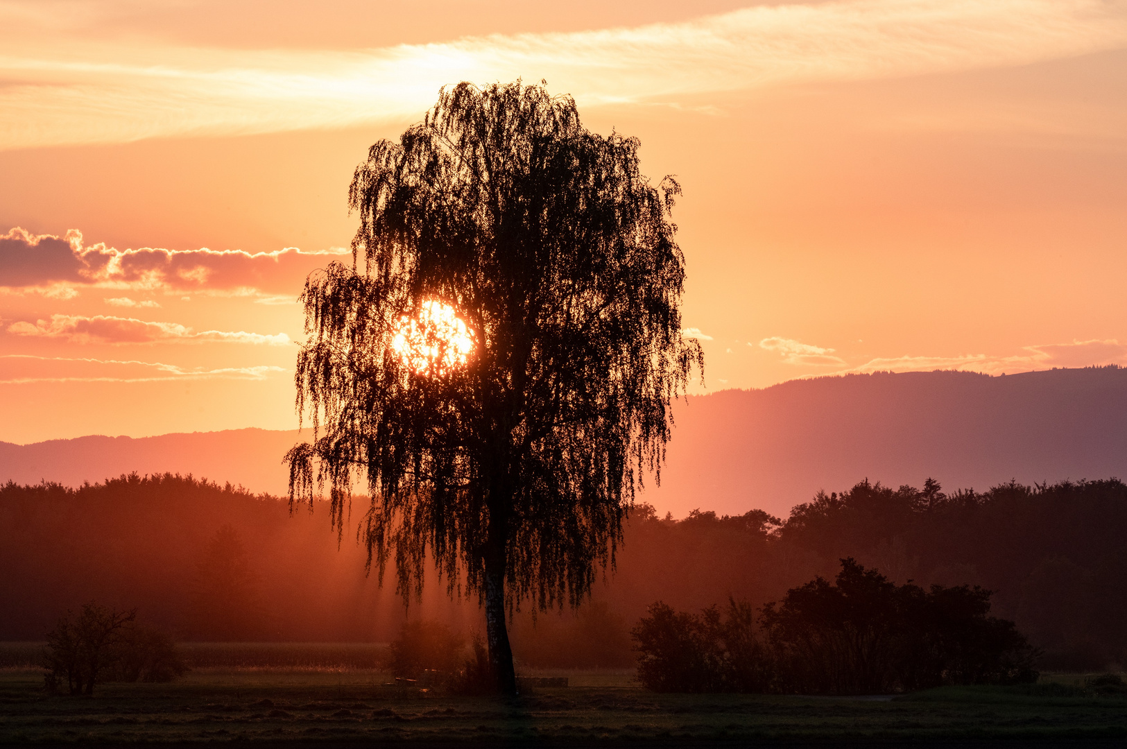 Sonnenuntergang auf dem Lande