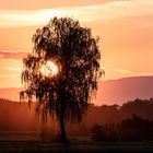 Sonnenuntergang auf dem Lande